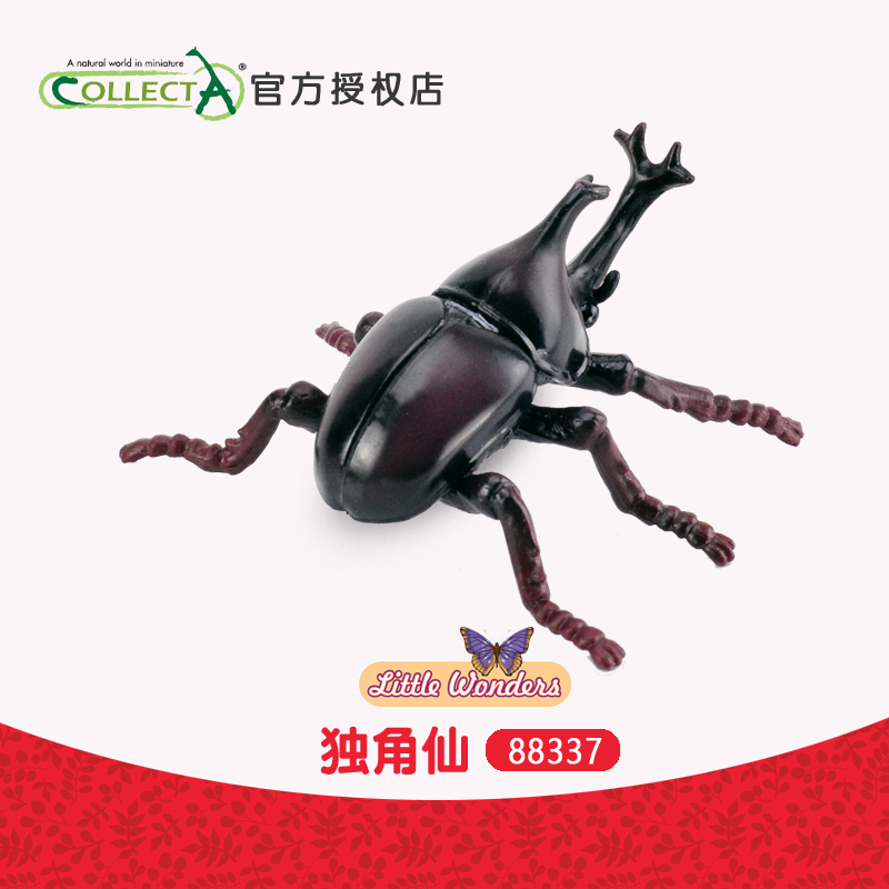 英国我你他独角仙昆虫教具动物