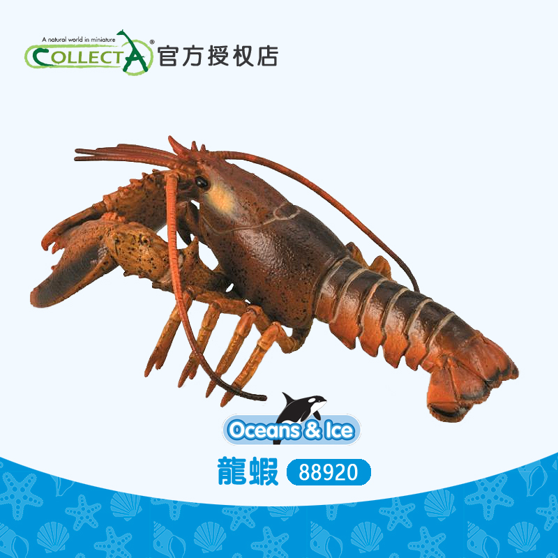 正品英国CollectA我你他 龙虾 仿真海洋动物儿童玩具模型88920