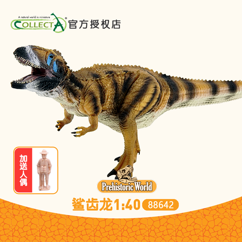 正品英国我你他collecta鲨齿龙 1:40恐龙模型儿童玩具科普88642