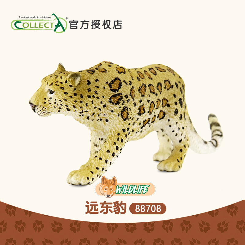 科普英国我你他Collecta远东豹 仿真猎豹子动物模型儿童玩具88708