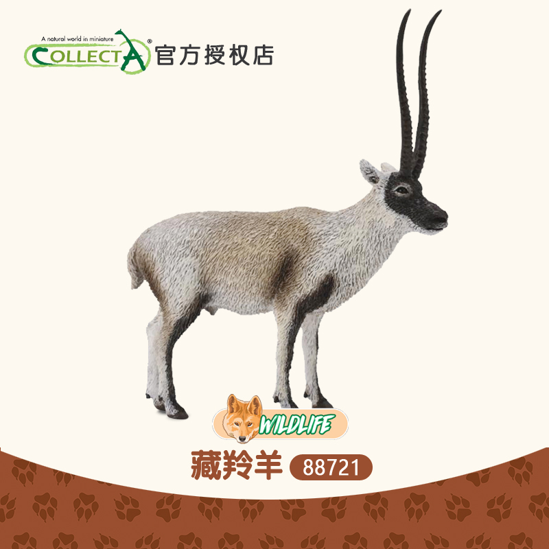 科普英国我你他动物摆件藏羚羊