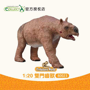 Collecta2024年仿真古生物古兽恐龙动物模型玩具80023双门齿兽
