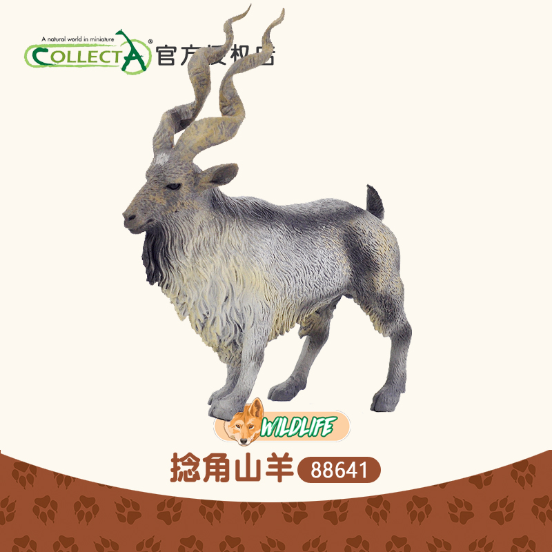 科普英国我你他Collecta捻角山羊 仿真动物模型儿童玩具摆件88641
