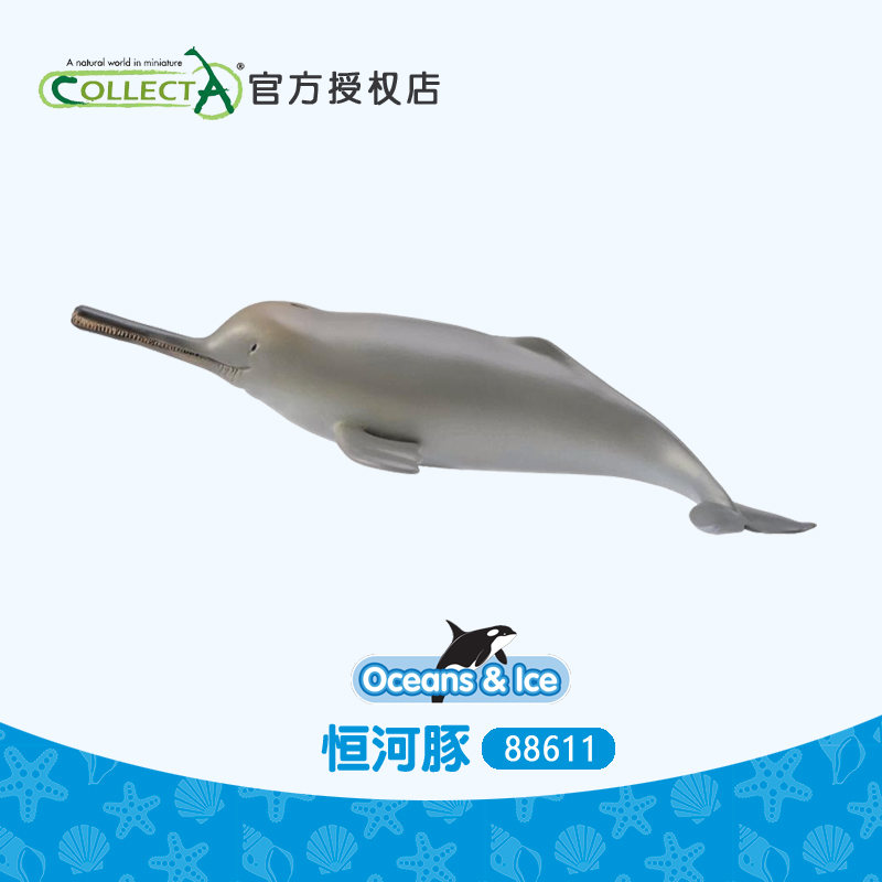 我你他恒河豚塑胶仿真儿童玩具