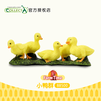 正品英国我你他Collecta小鸭子群 仿真宠物动物玩具模型礼物88500