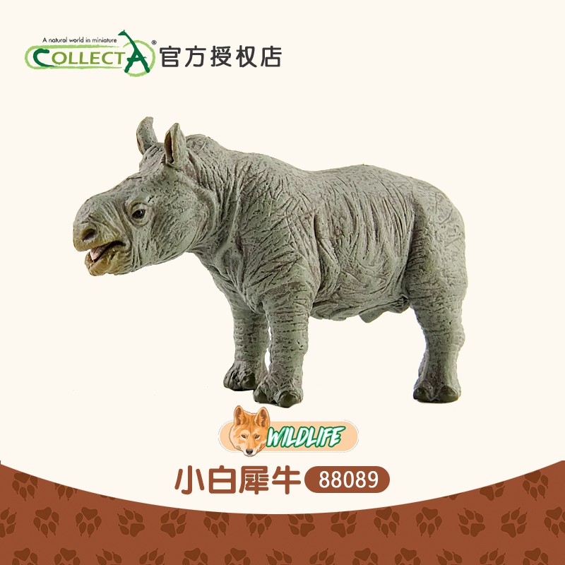 CollectA犀牛玩具模型