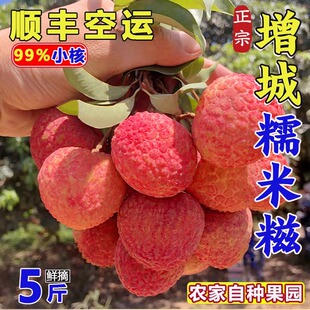 糯米糍荔枝新鲜现摘现发5斤大果广东广州增城基岗当季高端水果