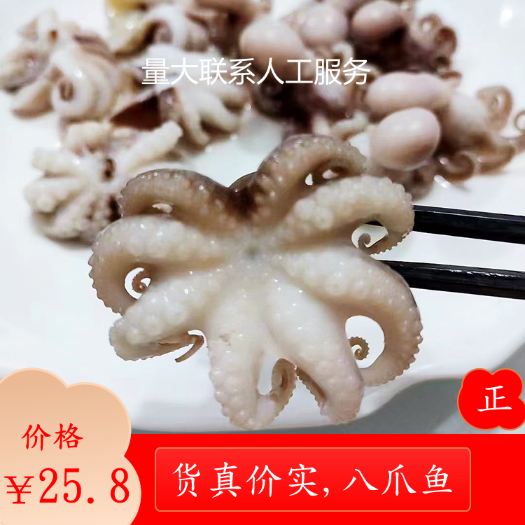 八爪鱼鲜活冷冻水产食品网