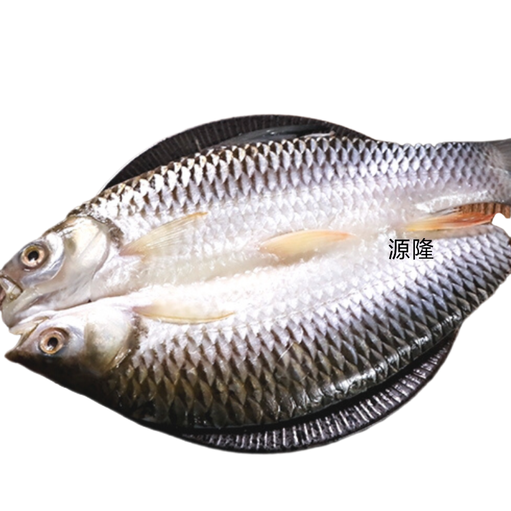 忘不了鱼500g开背冷冻多种规格皇帝鱼腌制淡水苏丹鱼部分1份包邮
