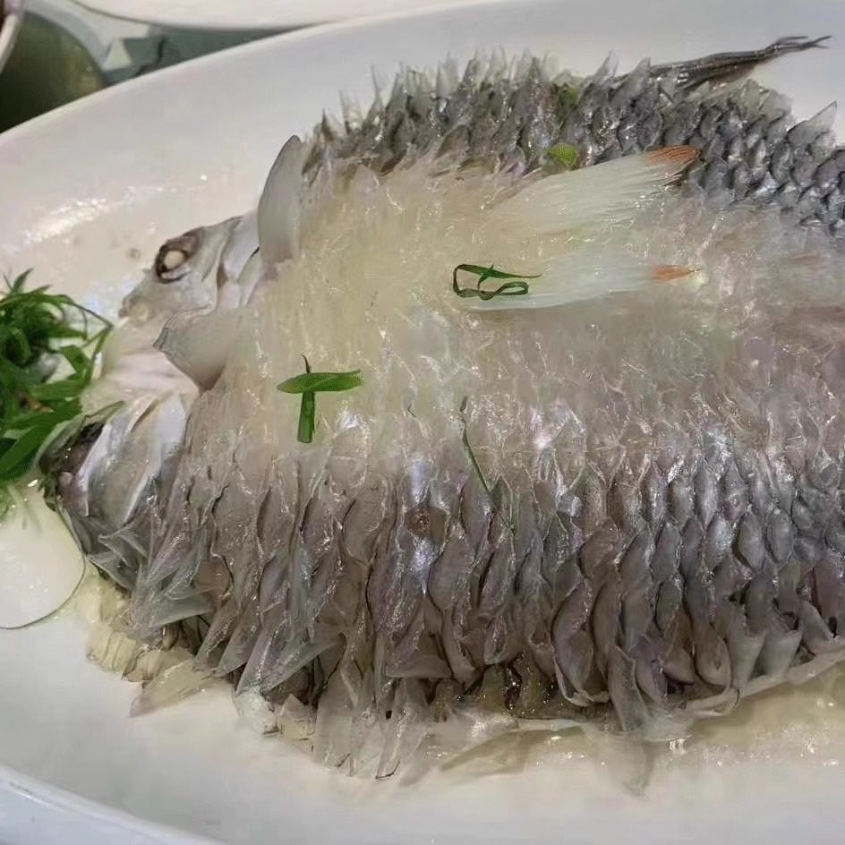 苏丹鱼忘不了鱼开背冷冻皇帝鱼腌制淡水苏丹鱼大鱼一件多条包邮