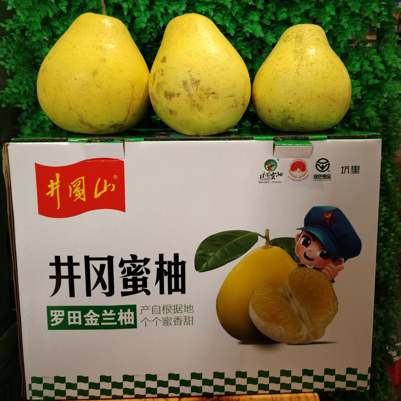 井冈蜜柚白心蜜柚新鲜水果现摘白肉柚子水晶密柚当季水果沙田柚子