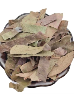 柿子叶 中药材柿叶天然纯新货柿子叶茶 柿子树叶子干货500克包邮