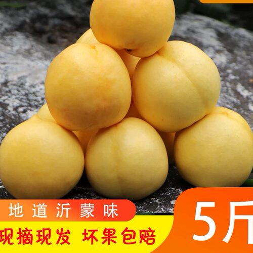 山东黄心油桃新鲜水果应季整箱