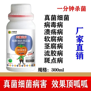 真细战疫专用溃疡软腐穿孔病曲叶黄化真菌细菌