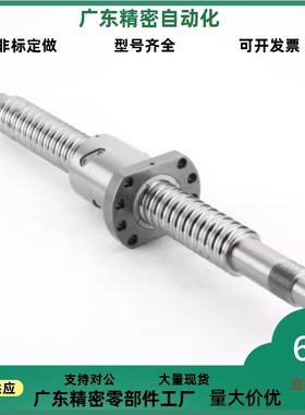 滚珠丝杆套装BSX BSS BSSE0601 1004 1202 1210 1505 2010 2520