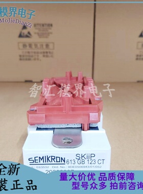 SKIIP613GB123CT 603GB123CT 603GB172CT 513GB173CT 513GB172CT