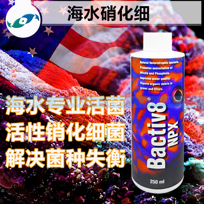 美国两只小鱼专业海水硝化细菌