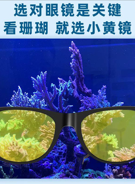 RedSea红海ReefView珊瑚观赏镜防蓝光滤镜护眼眼镜夜视镜海缸拍照
