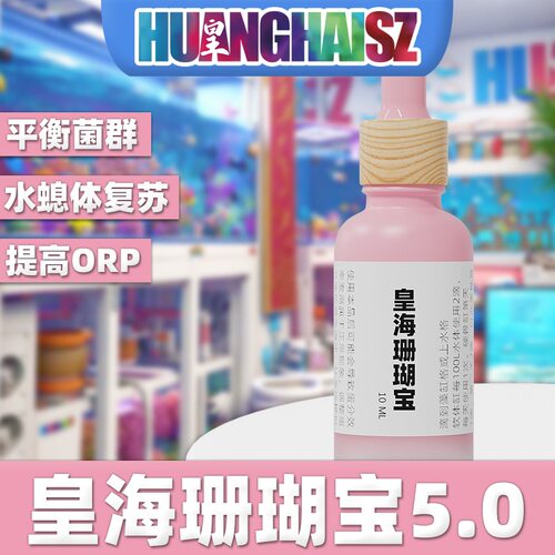 珊瑚宝5.0海缸单苞花花触手恢复