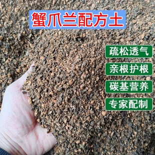 蟹爪兰专用土疏松透气亲根专用配方土易成活开花多家庭盆栽专用