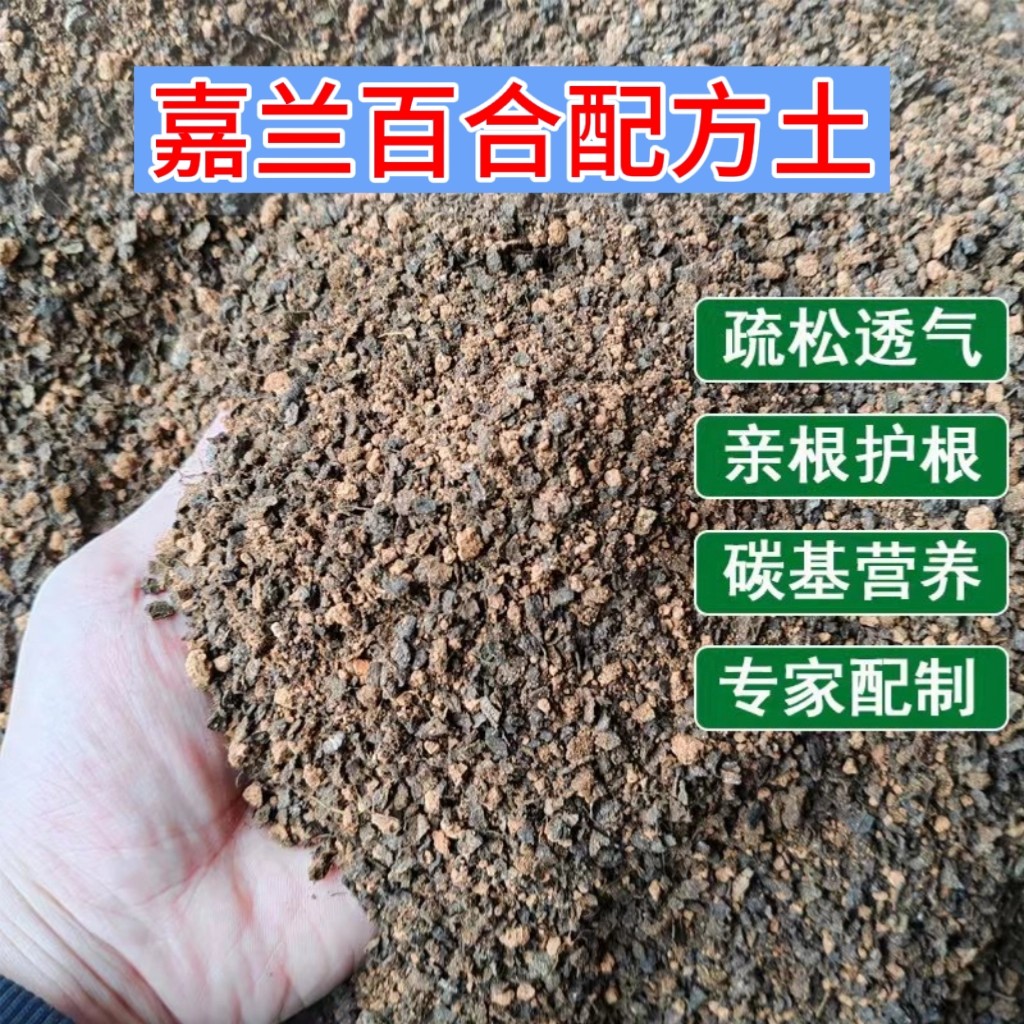 嘉兰百合专用土疏松透气亲根专用配方土易成活开花多家庭盆栽专用图片