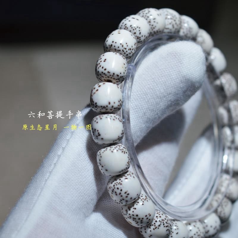 海南星月菩提手串10mm一物一图大留白元宝籽文玩手链男女情侣手链