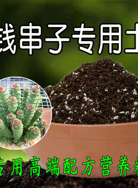 钱串子专用土多肉专用营养土颗粒土盆栽种植土壤肥料有机腐殖土