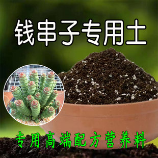 钱串子专用土多肉专用营养土颗粒土盆栽种植土壤肥料有机腐殖土
