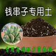 钱串子专用土多肉专用营养土颗粒土盆栽种植土壤肥料有机腐殖土