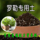 罗勒专用土营养土绿植盆栽酸性土壤绿植种植土有机肥料土腐殖土