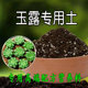 玉露专用土多肉花土种花土营养土多肉有机肥料种植土养花土腐殖土