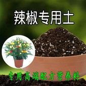 辣椒专用土蔬菜专用土种菜专用土壤有机肥料种菜土辣椒育苗营养