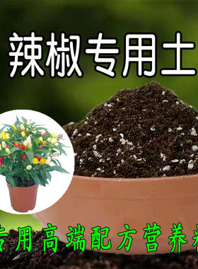 辣椒专用土蔬菜专用土种菜专用土壤有机肥料种菜土辣椒育苗营养