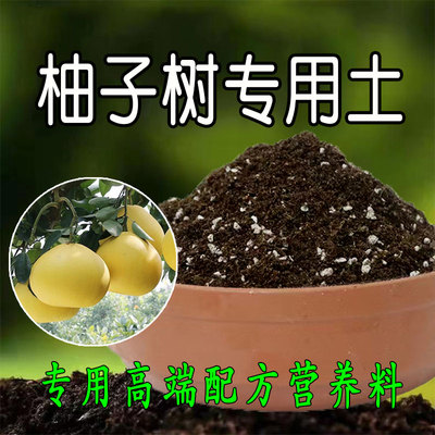 柚子树专用土盆栽营养土酸性土壤果树绿植种植土有机肥料腐殖土