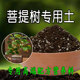 菩提树专用土盆栽专用营养土种花土种植土酸性土壤肥料有机腐殖土