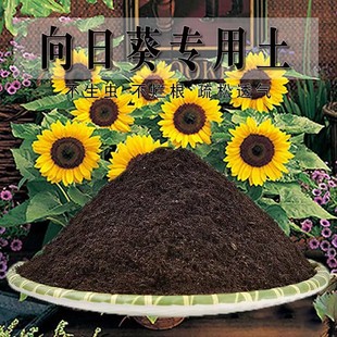 向日葵专用土向日葵专用营养土盆栽养花种植土壤肥料通用种花土培