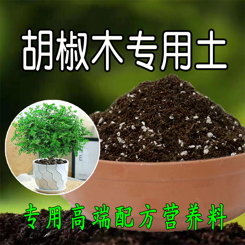 胡椒木专用土种花有机盆栽营养肥土养花专用种植土花土有机腐殖土