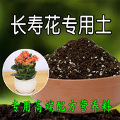 长寿花专用土花土营养土栽培土种养土壤配方土盆栽肥料有机腐殖