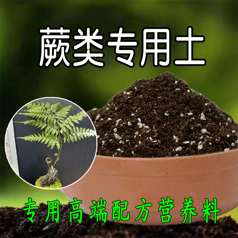 蕨类专用土盆栽种植营养土抗病放虫通用型家用酸性土壤有机腐殖土