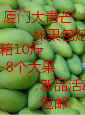 青皮10斤包邮当季新鲜水果大青芒