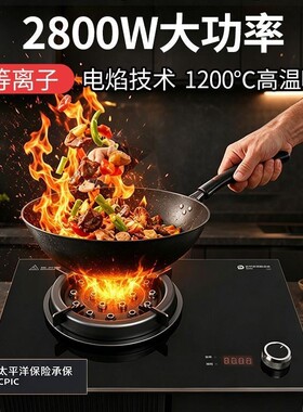 新型电火灶 明火 家用不用气的 新能源2026新款 插电生电焰电火炉