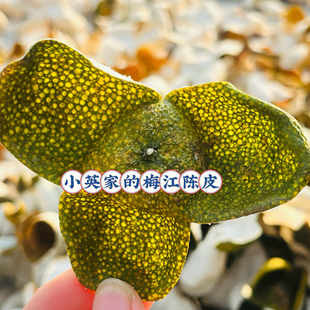 梅江产区原枝新会陈皮大红二红青皮2025果农自家种植皮质保证