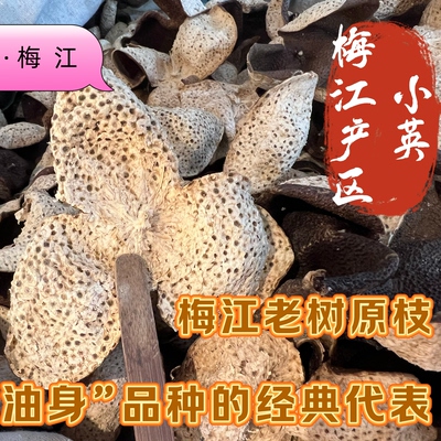 新会陈皮三年五年十年梅江产区