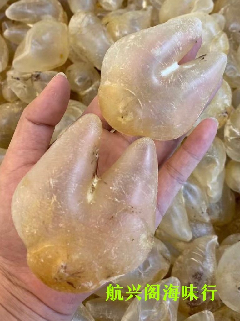 鸡泡胶鱼胶干货深海鱼泡鱼鳔调理花胶/鱼胶及其制品