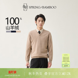 羊绒衫 春竹100%山羊绒舒适百搭秋冬新款 针织毛衣V领上衣男士