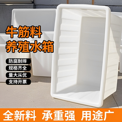 牛筋塑料水箱长方形养殖养鱼槽
