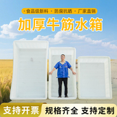 牛筋塑料水箱长方形加厚大容量水产养殖养鱼卖鱼大号储水桶周转箱