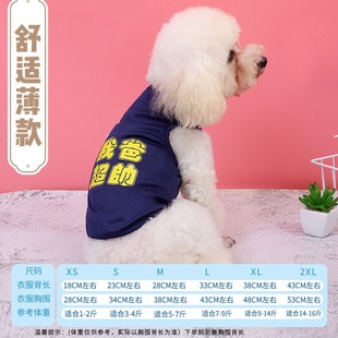 背心搞笑猫咪比熊法斗博美泰迪小型犬透气可爱 小狗狗衣服夏天薄款