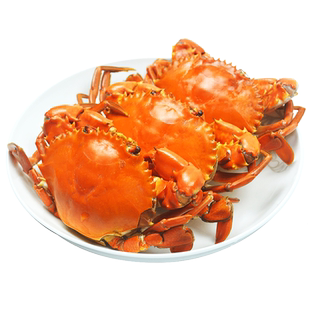 南沙顶津青蟹鲜活海鲜大红膏蟹海蟹红鲟母螃蟹满黄四斤6只