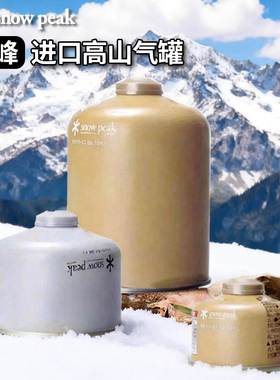 新款韩国Dr.HOWS高山气瓶卡式炉气罐露营瓦斯炉头燃气丁烷液化气